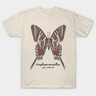 Zebra Swallowtail T-Shirt